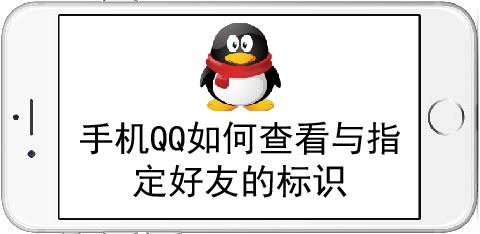 小编教你手机QQ怎么查看与指定好友的标识。