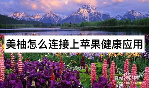 小编教你美柚如何连接上苹果健康应用。
