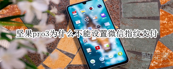 小编教你坚果pro3不能设置微信指纹支付怎么回事。
