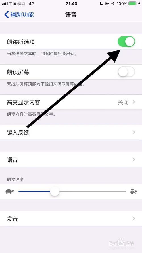 小编教你iphone11怎么打开朗读所选项功能。