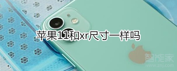 小编教你iphone11和xr尺寸相同吗。