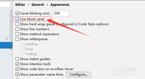 小编教你IntelliJ IDEA如何关闭使用块插入符号。