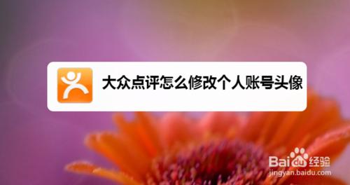 小编教你大众点评如何修改个人账号头像。