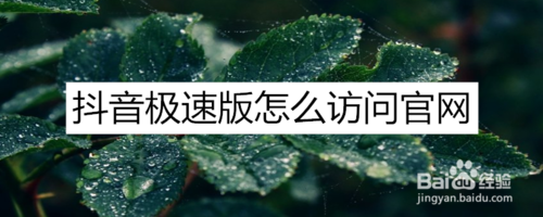 小编教你抖音极速版如何访问官网。