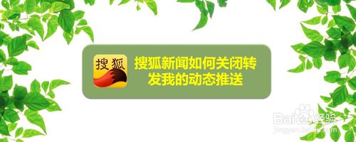 小编教你搜狐新闻动态推送怎么关。