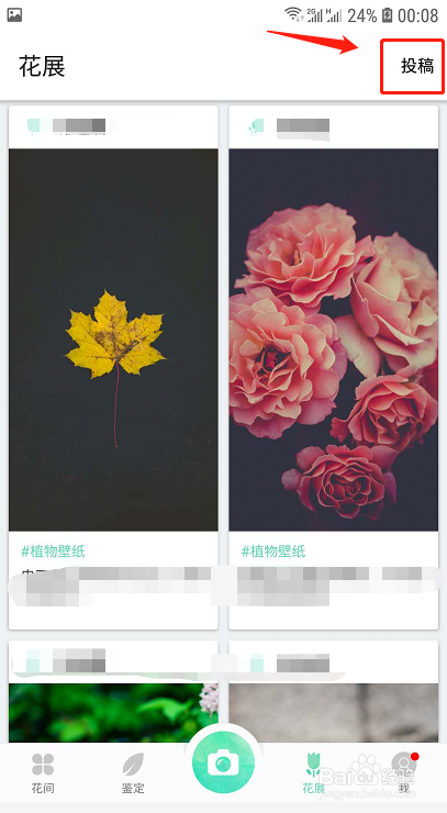 小编教你如何在形色花展上进行投稿。