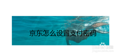 小编教你京东支付密码在哪设置。