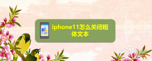 小编教你iphone11粗体文本在哪关。