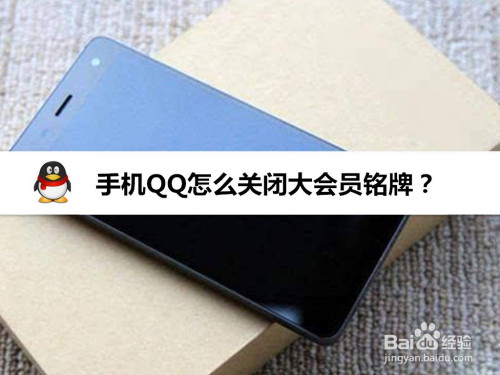 小编教你手机QQ大会员铭牌在哪关。