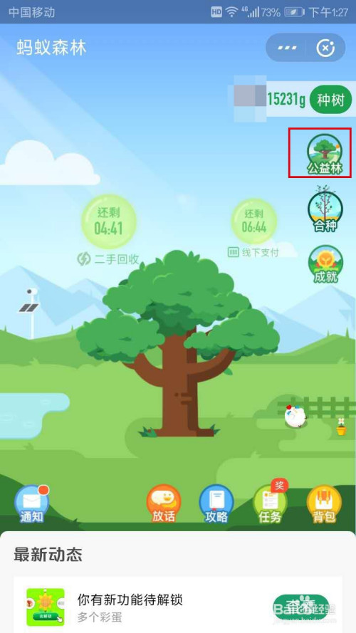 小编教你蚂蚁森林公益林怎么参与。