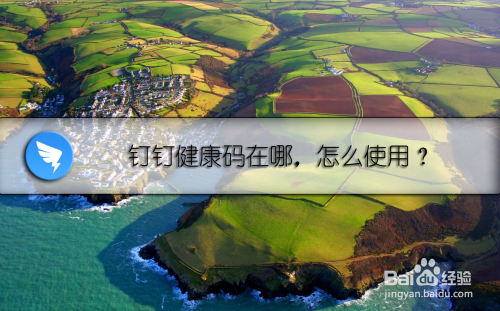 小编教你钉钉健康码在哪申领。