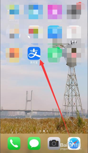 小编教你支付宝基金持仓在哪看。