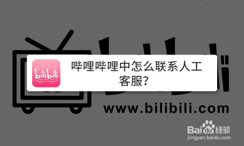小编教你哔哩哔哩账号被禁怎么解决。