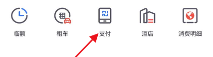 掌上生活怎么使用境外支付码