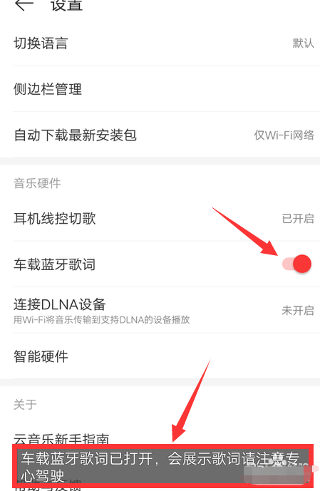 网易云音乐怎么设置显示车载歌词