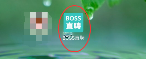 boss直聘夜间免打扰模式怎么启用