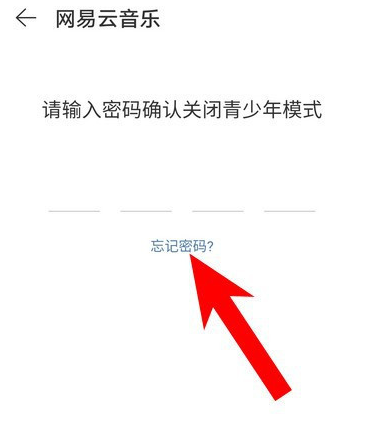 1604300132652682.png 小编教你网易云音乐青少年模式密码怎么找回。