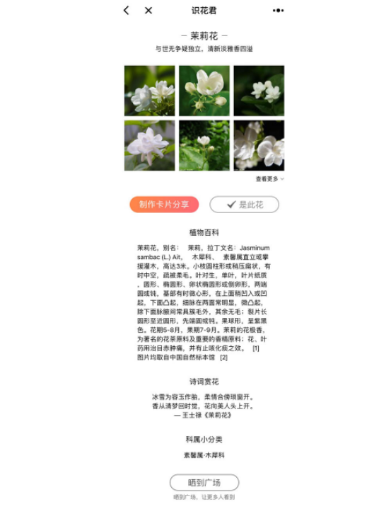 小程序识花君：扫一扫即可识别花草信息