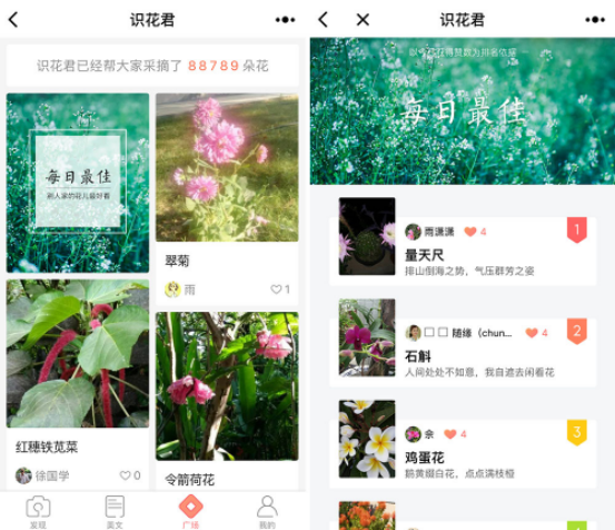 小程序识花君：扫一扫即可识别花草信息