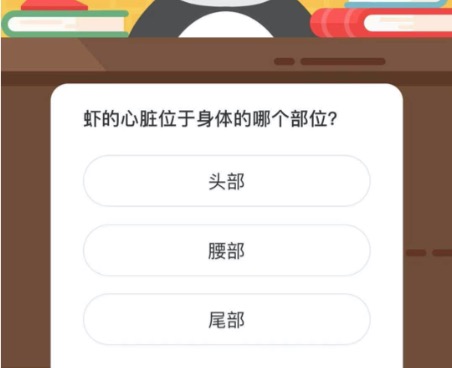 虾的心脏位于身体的哪个部位。