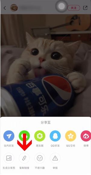 小红书水印如何关掉。