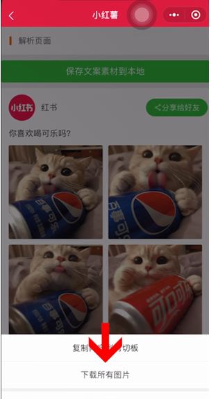 小红书水印如何关掉。