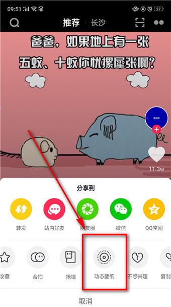想将抖音视频设置动态壁纸，必须下载这个插件