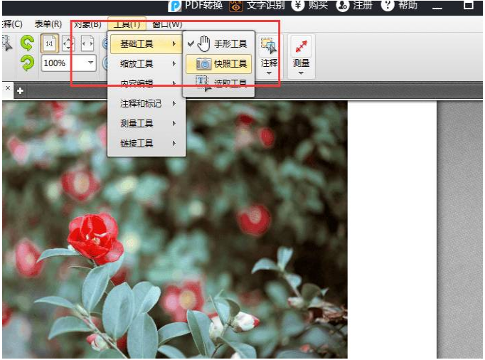 迅捷PDF编辑器快照：轻松截取画面