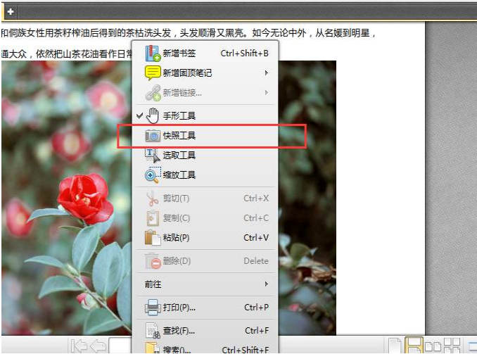 迅捷PDF编辑器快照：轻松截取画面