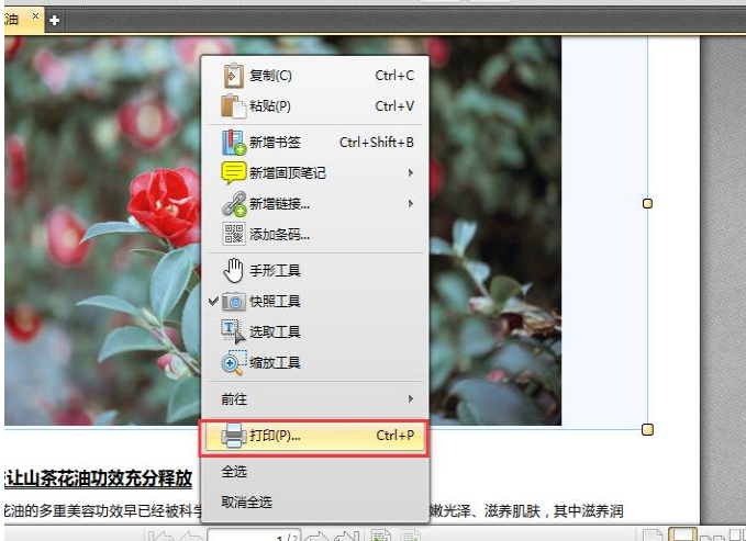 迅捷PDF编辑器快照：轻松截取画面