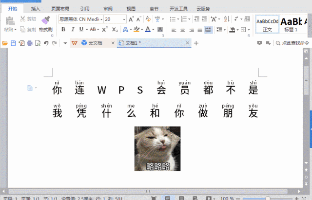 小技巧奉上，让你可以熟练使用WPS。