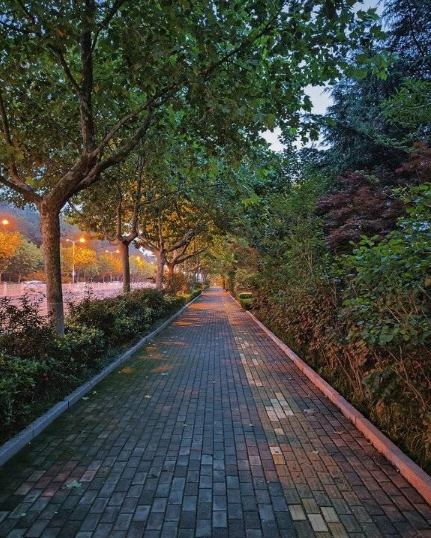 小米12s夜景拍照好吗 小米12和12s的区别