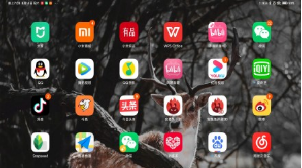 小米平板5如何修改图标大小。