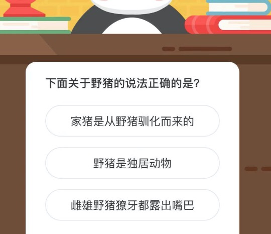下面我来分享野猪的说法正确的是。
