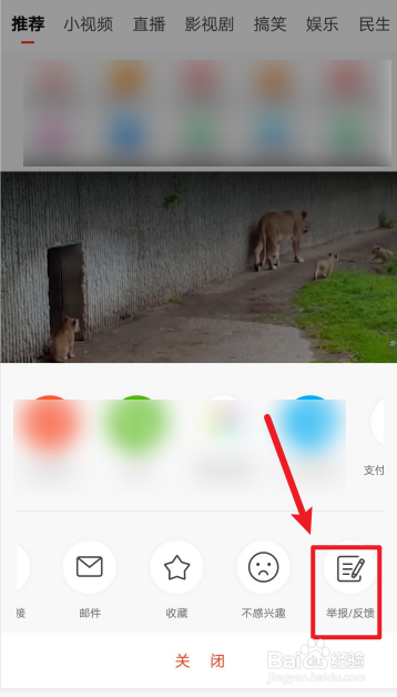新浪新闻怎么举报反馈视频。