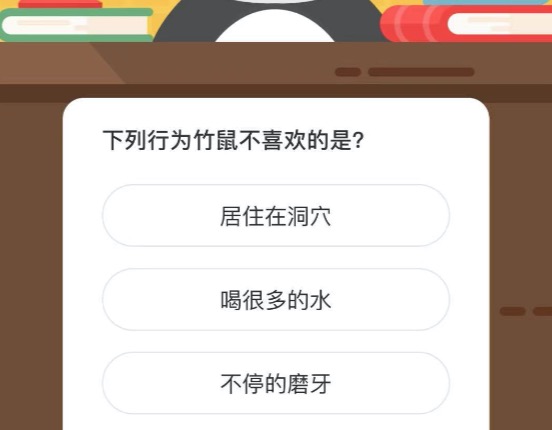 下列行为竹鼠不喜欢的是。