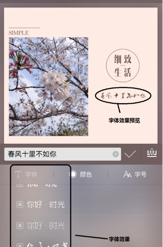 小清新式图文编辑工具—简拼,关于怎么添加文字
