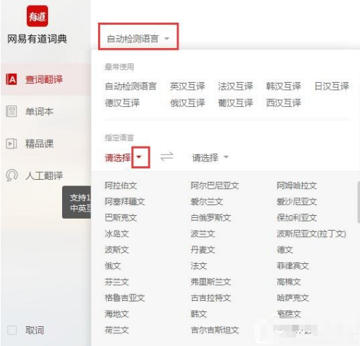 有道词典多种翻译方式，应对不同翻译情景
