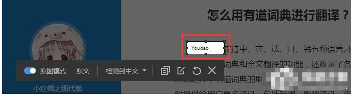 有道词典多种翻译方式，应对不同翻译情景