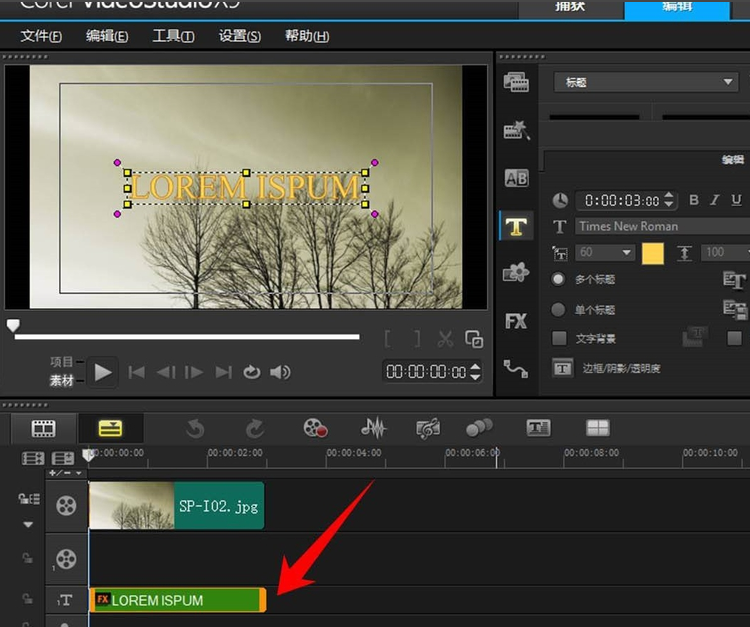 用会声会影制作特效文字的技巧我来说说