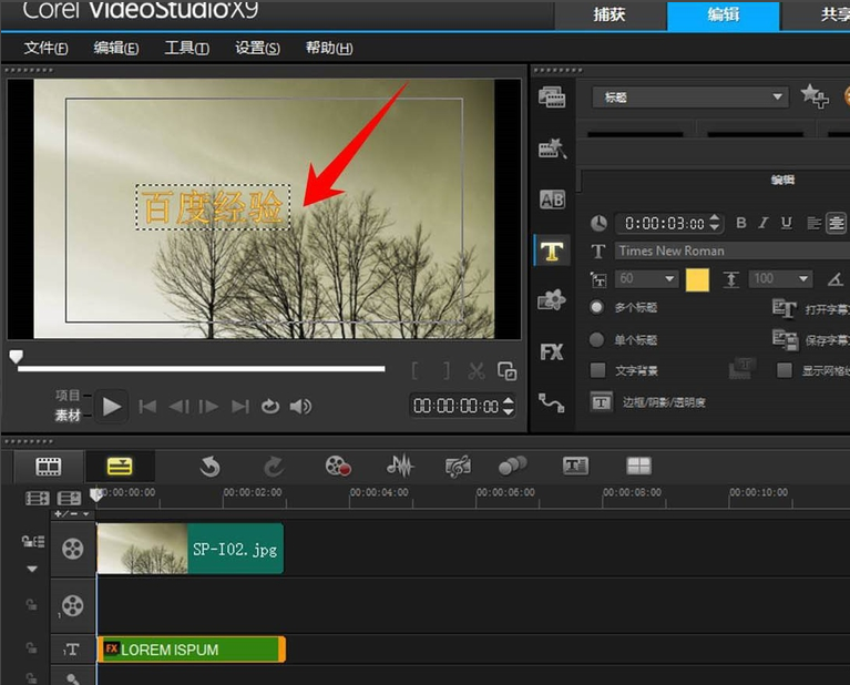 用会声会影制作特效文字的技巧我来说说