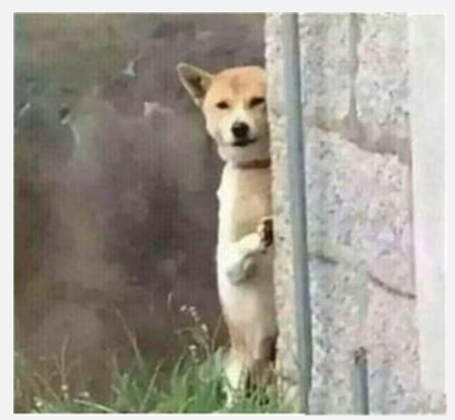 用户最期待的微信功能有这些,就问什么时候实现