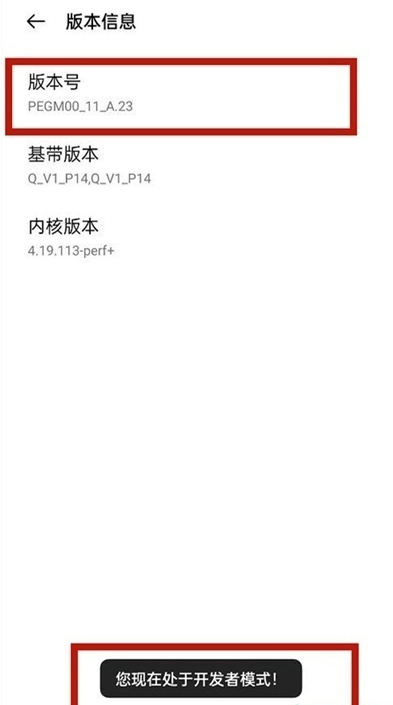 一加9r怎么打开开发者选项。