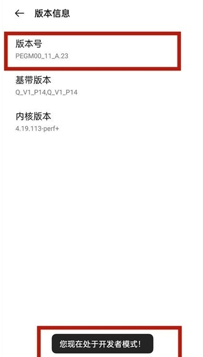 一加9pro如何进入开发者选项。