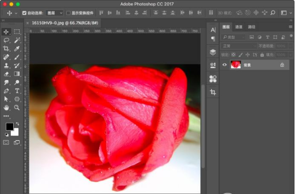 用Photoshop更换图片小区域色彩的方法教学