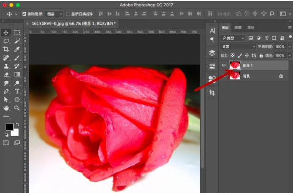 用Photoshop更换图片小区域色彩的方法教学