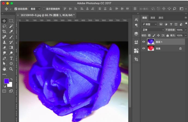 用Photoshop更换图片小区域色彩的方法教学