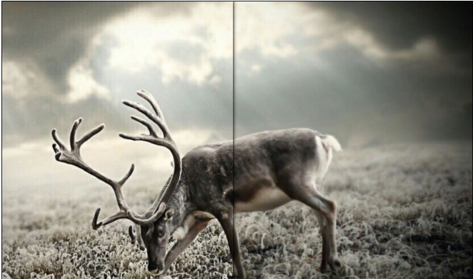 用PS软件让图片更清晰的设置技巧