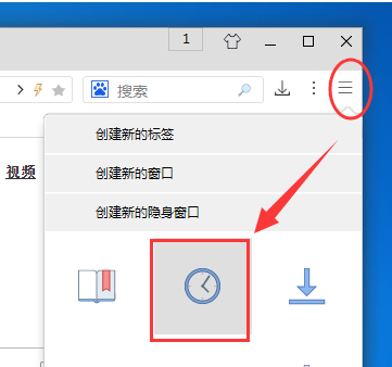 游隼浏览器清空历史记录的操作流程。