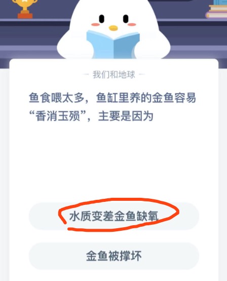 鱼食喂太多，鱼缸里养的金鱼容易“香消玉殒”主要是因为？蚂蚁庄园1月18日答案最新